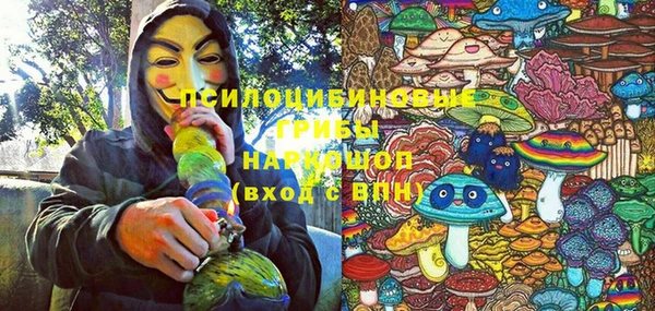 метадон Медногорск
