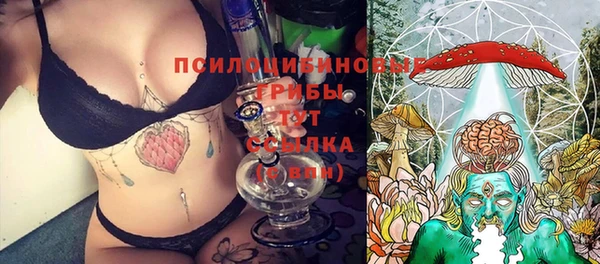 первитин Медвежьегорск