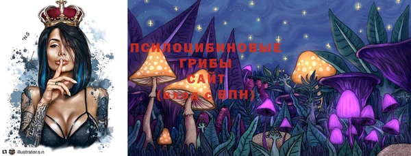 ALPHA-PVP Мегион