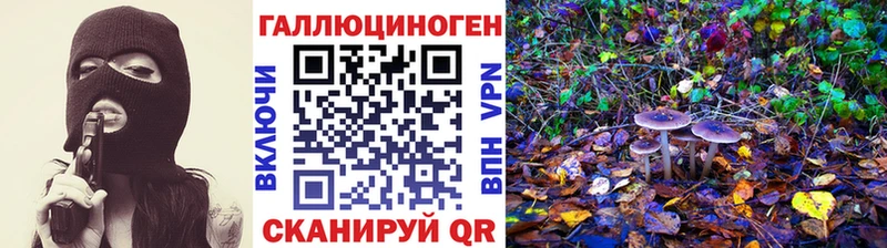 OMG сайт darknet телеграм Псилоцибиновые грибы Magic Shrooms Юхнов